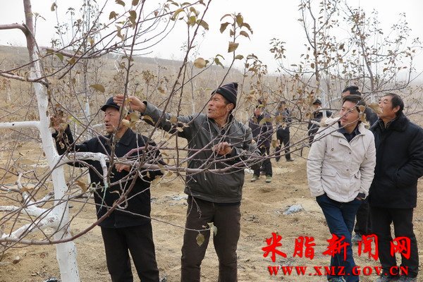 杜家石沟镇组织村民参观山地苹果园