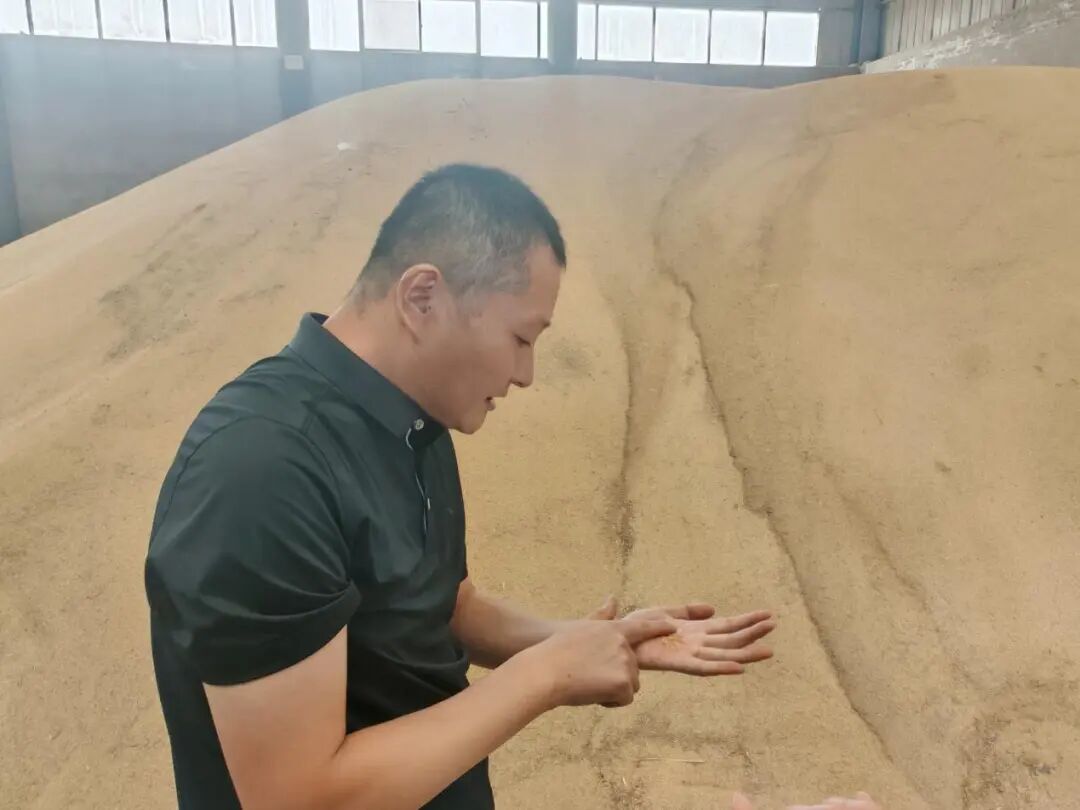 8742d39a85612a3b0ee7ebf59a5b7330